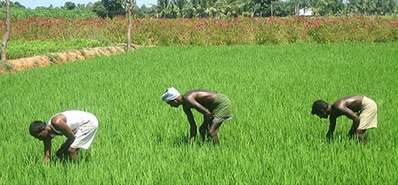 Kisan Credit Card
