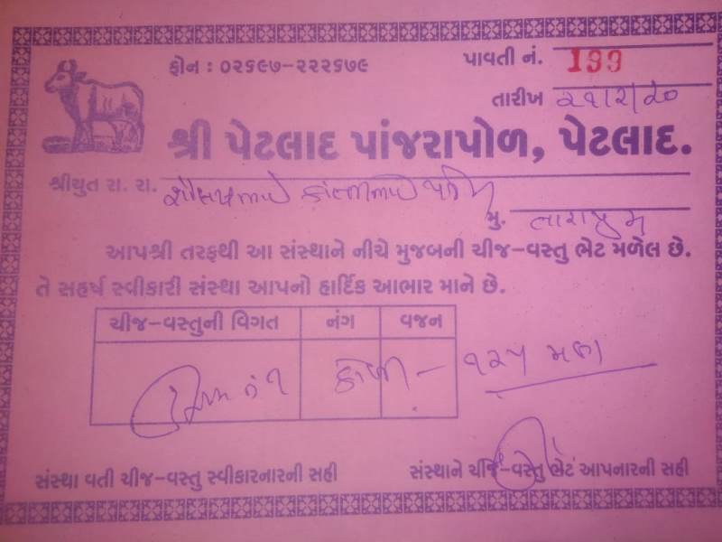 Cows in Tarapur Gujarat