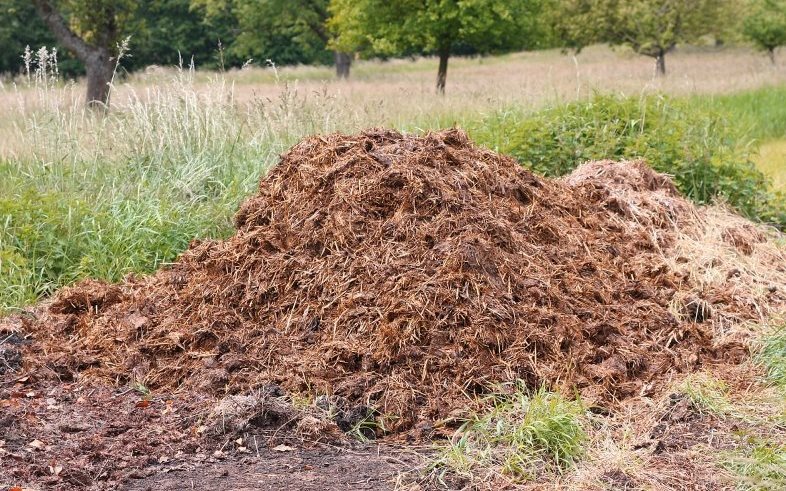 Integrated Pest Control